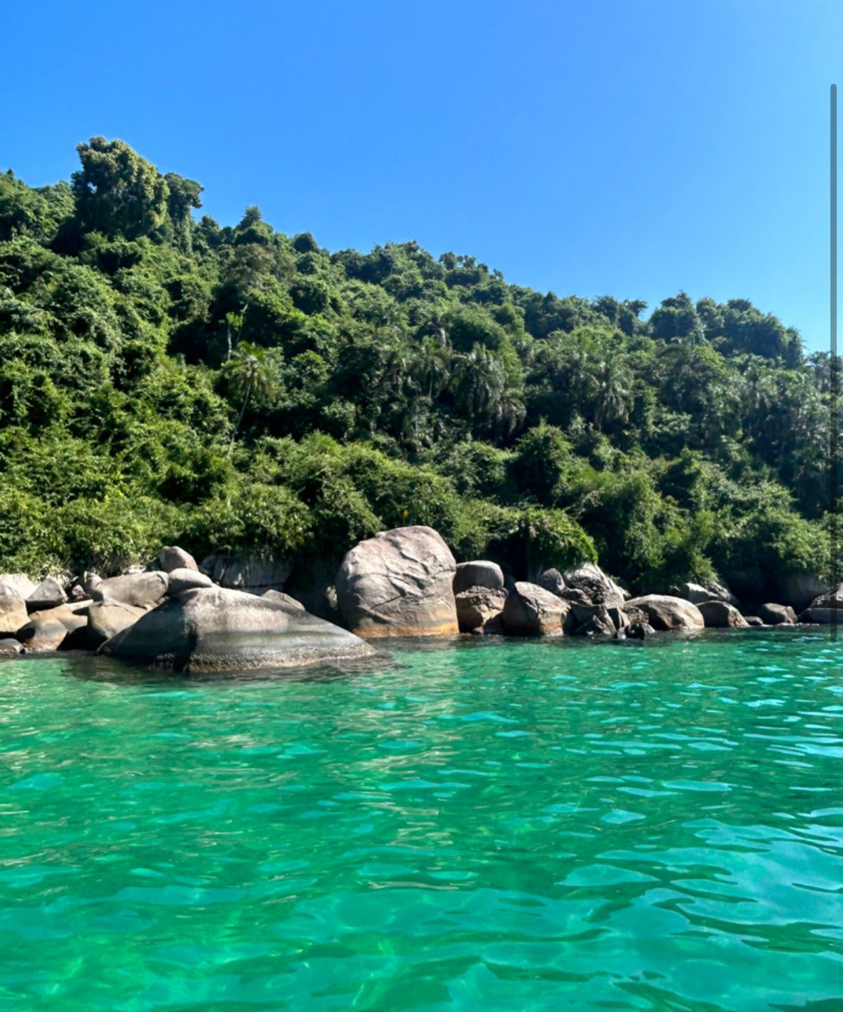 Eaux turquoise cristallines et forêt atlantique luxuriante lors d'une excursion bateau dans la baie de Paraty au Brésil